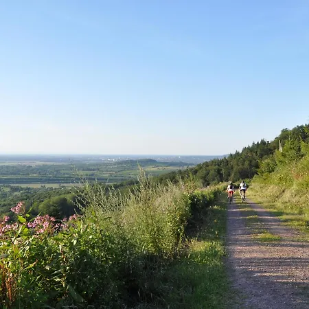 Derday Friesenheim (Baden-Wurttemberg)
